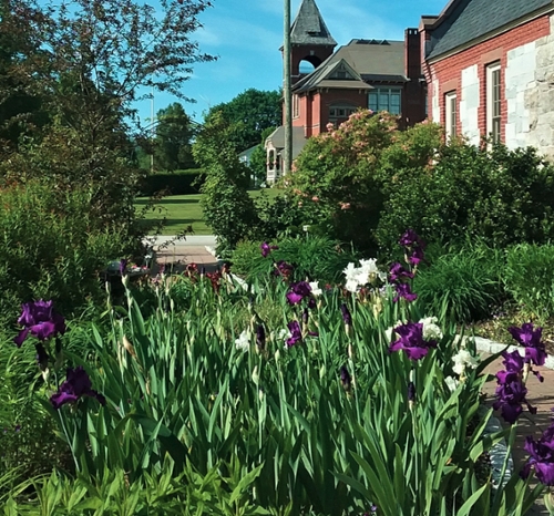 Photo of two people working in a garden